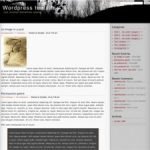 PDawn – 2 column widget enabled WP Theme