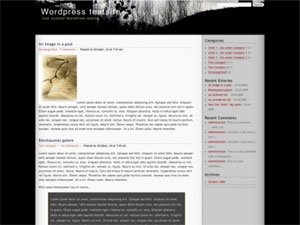 PDawn – 2 column widget enabled WP Theme